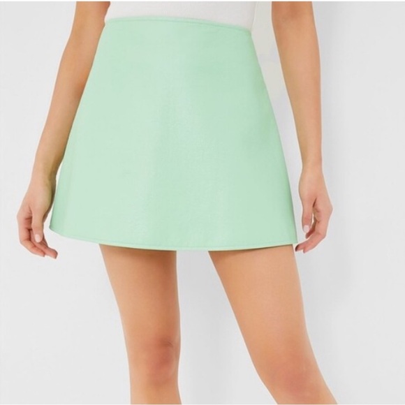 Tuckernuck Dresses & Skirts - Tuckernuck Faux Leather Meg Mini Skirt-Mint Chip Green-Women’s S-NEW-Classic-NWT